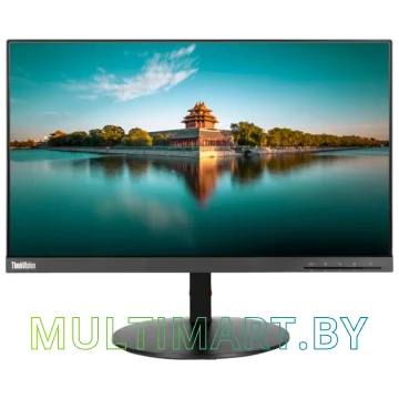 Монитор Lenovo ThinkVision T22i-10 61A9MAT1EU